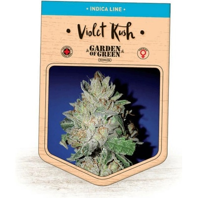 Garden Of Green Seedbank Violet Kush semena neobsahují THC 3 ks