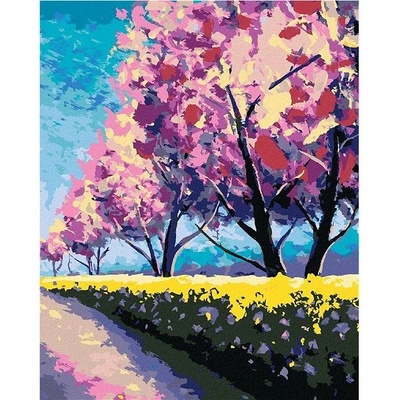 zuty Malování Podle Čísel Sakury Ve Slunném Parku 80 x 100 Cm Plátno Rám
