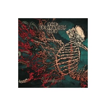 LEVITATION HEX THE: COHESION LTD., LP