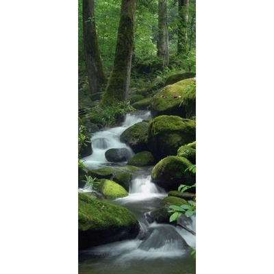 Preinterier DV0075 Fototapeta na stenu Potok vlies 91cm x 211cm