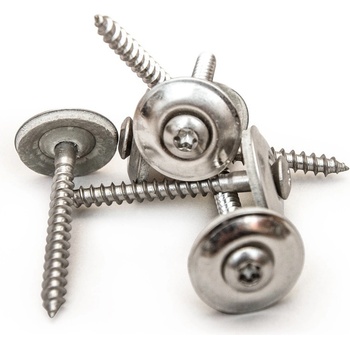 Gutta Nerezový vrut V2A 20 ks stříbrná, 4,5 x 80 mm