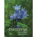 Čarozrenie