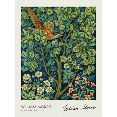 Plakát, Obraz - The Pheasant (1916), William Morris, 30 × 40 cm