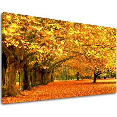 Obraz na stěnu STROMY - 100x150 cm