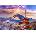 Enjoy - Puzzle Fuji Mountain in Spring, Japan - 1 000 piese
