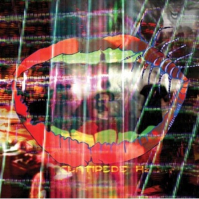 Animal Collective - Centipede Hz LP