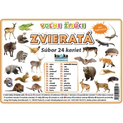 Súbor 24 kariet - zvieratá voľne žijúce