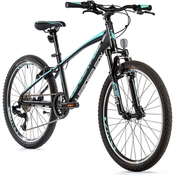 Leader Fox Spider 2023