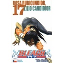 Bleach 17