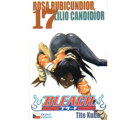 Bleach 17