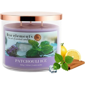 Five Elements Patchouli Ice 420 g
