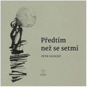 Předtím než se setmí