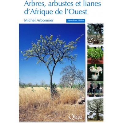 Arbres, arbustes et lianes d'Afrique de l'Ouest | Arbonnier
