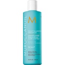 Moroccanoil Scalp Balancing Shampoo 250 ml