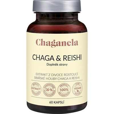 Chaganela Extrakt čagy s reishi 60 kapslí