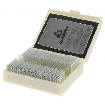 Микроскопски свят в капка вода - бактерии и микроорганизми