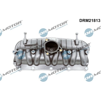 Dr.Motor Automotive DRM21813