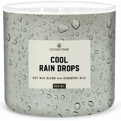 Goose Creek Candle MEN'S COLLECTION COOL RAIN DROPS 411 g