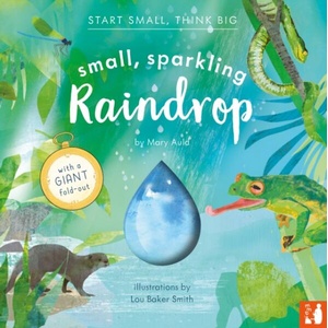 Small, Sparkling Raindrop (ISBN: 9781916780101)