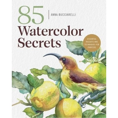 101 Watercolor Secrets, Essential Insights and Techniques for Painters Rocky Nook