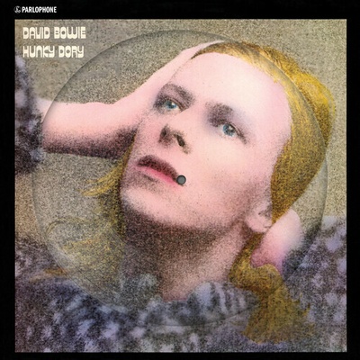 David Bowie, HUNKY DORY - PICTURE ALBUM LP LP