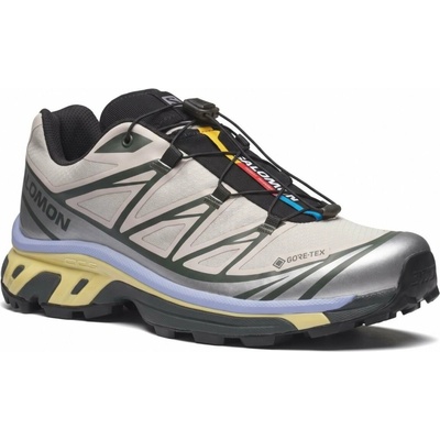 Salomon XT-6 GTX L49216100 - silver cloud/urban chic/shadow green 47 1/3