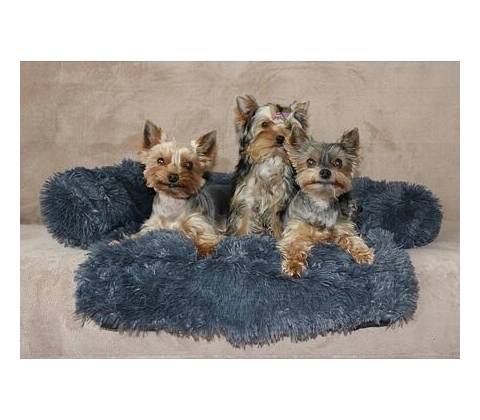 Petsofa pelech