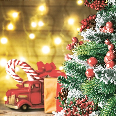 Maki ubrousky vánoční Cozy Scene with Christmas Lights 3V 33x33 cm 20 ks