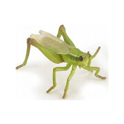 Papo Grasshopper