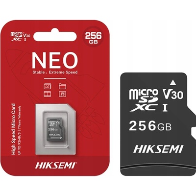 Hikvision SD 256 GB HS-TF-C1STD