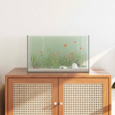 VidaXL akvárium s úložištěm průhledné 50 x 30 x 30 cm sklo 9799.42020382