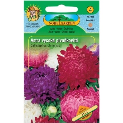 Nohel Garden Astra čínska vysoká pivonkovitá, zmes