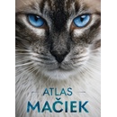 Atlas mačiek