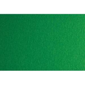 Fabriano Картон Colore, 50 x 70 cm, 200 g/m2, № 231, зелен (42303231/2_VERDE)