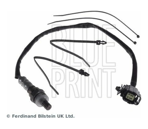 BLP-ADM57066