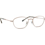 Ray-Ban 0RX3749V 2943 55