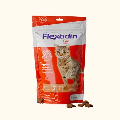 Flexadin Cat 60 tbl. – Zboží Dáma