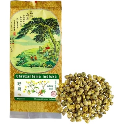Ostatní Chryzantéma indická 40g
