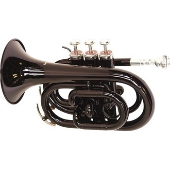 Dimavery TP-300