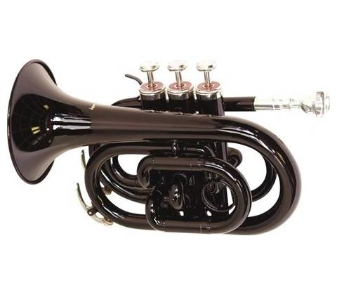 Dimavery TP-300