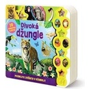 Džungle