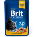 Brit Premium Cat Salmon & Trout 24 x 100 g