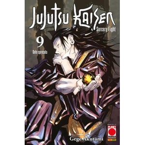 Jujutsu Kaisen. Sorcery Fight | Gege Akutami (2024)
