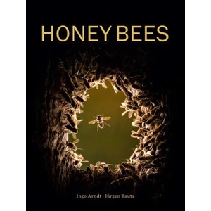 Honey Bees (ISBN: 9780565095277)
