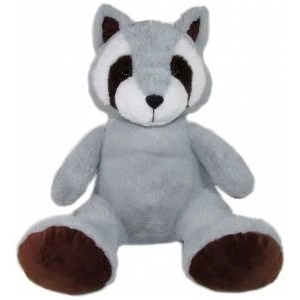 SUN-DAY RACCOON