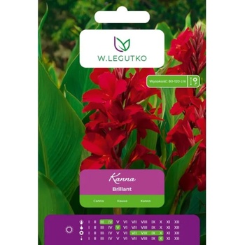 W. Legutko Канна Брилянт червена 1 бр