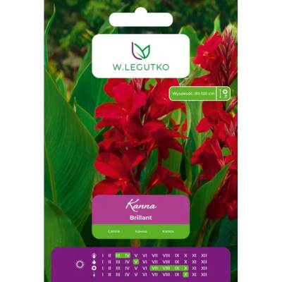 W. Legutko Канна Брилянт червена 1 бр