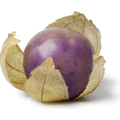 Need For Seed Tomatillo Purple semena 20 ks