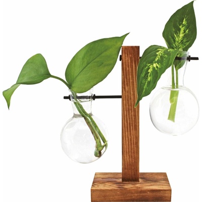 WINKEE Váza Hydro Fleur - 1 ks