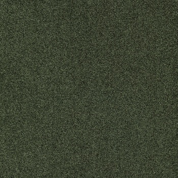 Modulyss Belgie Gleam 609 zelená